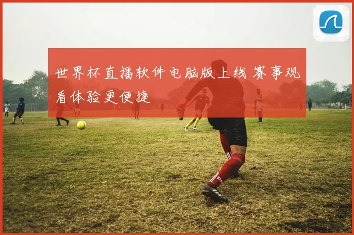 世界杯直播软件电脑版上线 赛事观看体验更便捷